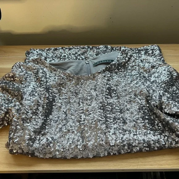 Velvet Silver Sequin Short Sleeve T-Shirt - Picture 6 of 10